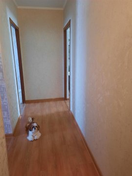 2-к квартира, 4/5 эт., 45м²